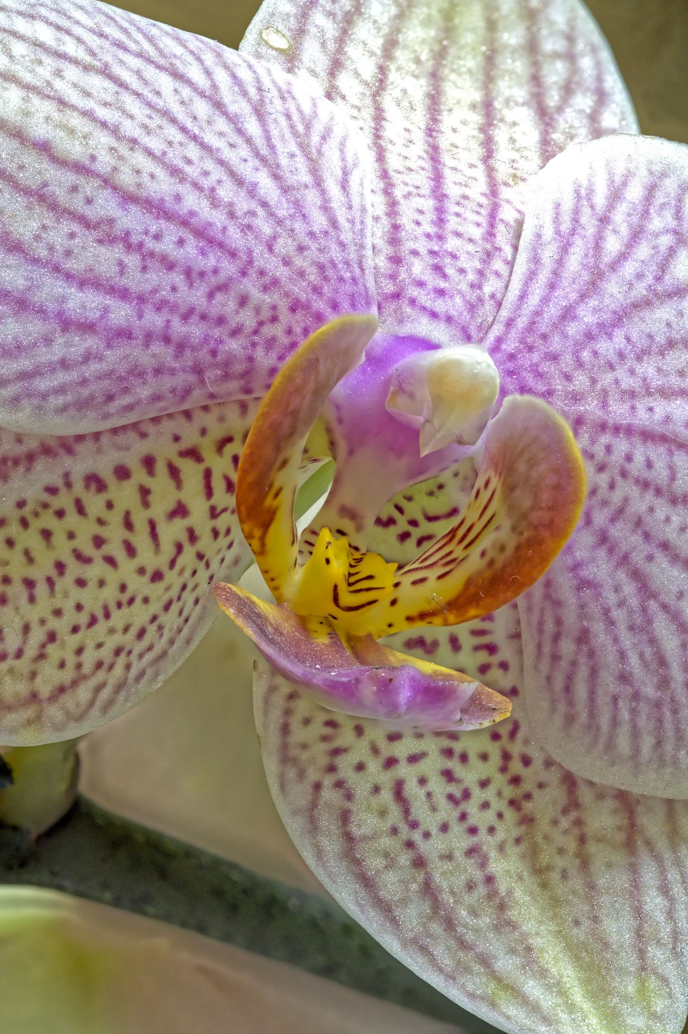 2022 05 05 23 52 37 (B,R8,S4)a